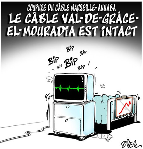 Coupure du câble Marseille-Annaba, le cable val de grâce El Mouradia est intact