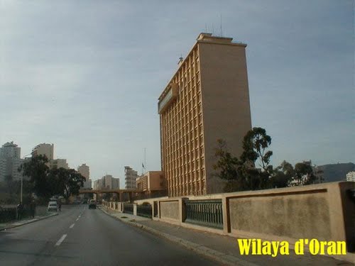 Début des festivités du 1er novembre à Oran : Des journalistes et des Moudjahidine honorés