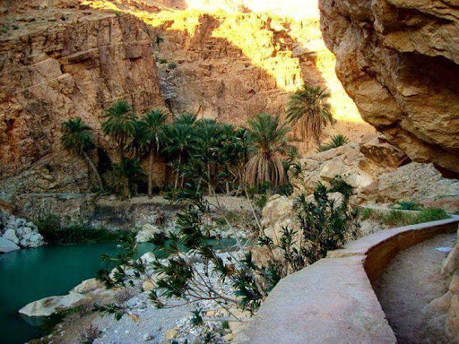 Développement du sud algérien : Le FCE à pied d’œuvre