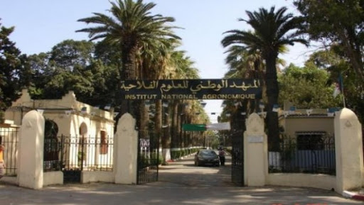 Enseignants et étudiants de l’ENSA d’Alger protestent contre un projet de création d’une base logistique de Cosider