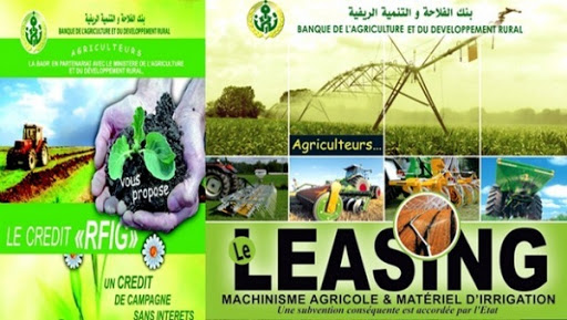 Extension du réseau de la BADR pour rapprocher la banque des agriculteurs