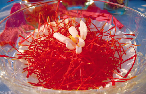 La plus précieuse des épices, «la safranière Tariki» : L’or rouge à Constantine