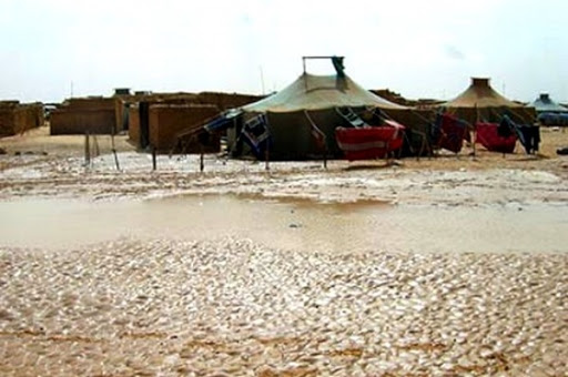 Les camps de réfugiés sahraoui face à une « catastrophe naturelle inédite » suite aux intempéries ( ONG)