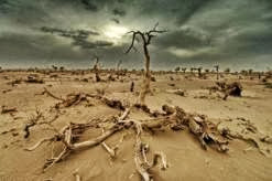 Les pays d&rsquo;Afrique du nord devraient rationaliser l’utilisation des ressources face aux changements climatiques (experts)