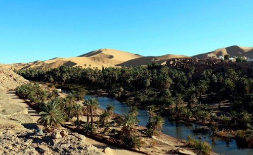 Algérie:Lancement prochain d&rsquo;une étude pour réhabiliter 62 oasis de palmeraies de la wilaya de Bechar