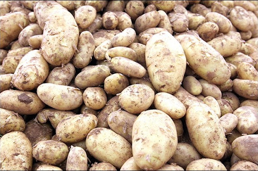 Oran,  La pomme de terre annoncée à 100 DA