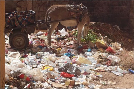 Pour cause d’insalubrité à laghouat,  Des citoyens comptent lancer une campagne “Vous puez”