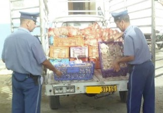 Sétif : Saisie de 20 quintaux de viande impropre à la consommation