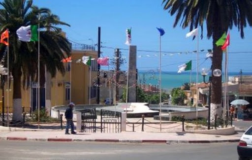 Tipasa : première conférence internationale sur les technologies propres du froid à Bou Ismail