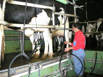 Agriculture, biotechnologie, pièces détachées…. Les USA flairent les bonnes affaires en Algérie