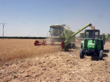 Agriculture Ferroukhi veut moderniser le secteur