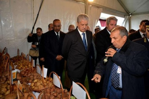 Ain Defla: Sellal inspecte une ferme pilote dans la commune de Arib