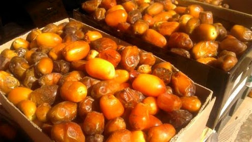 Campagne de cueillette de dattes : la variété « Takerboucht » très convoitée à Adrar