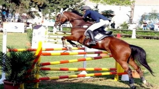 Concours international de saut d&rsquo;obstacles: Le français Nicolas Deseuzes s&rsquo;adjuge le grand prix « Sim » CSI 2 étoiles