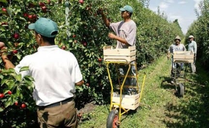création prochaine d&rsquo;un réseau d&rsquo;accompagnement technique des agriculteurs