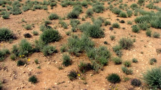 Des événements climatiques accentuent la vulnérabilité de l’Algérie