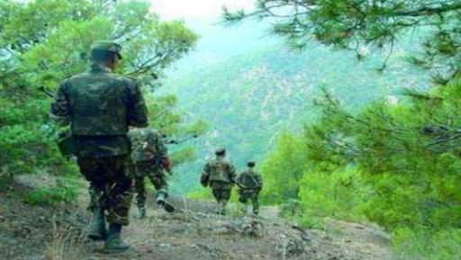 Deux abris aménagés contenant des armes et des munitions détruits par l&rsquo;ANP à Constantine et Skikda (MDN)