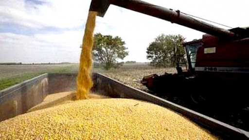 Hausse relative de la production céréalière en 2015