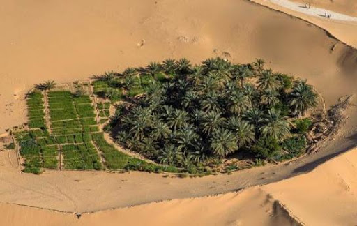 « L’Algérie vue du ciel » sur grand écran à Melun