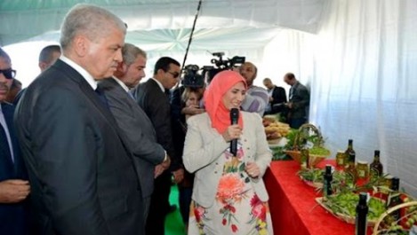 Le Premier ministre inspecte la ferme « les frères Lecheheb » à Beni-Tamou (Blida)