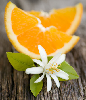 Les vertus beauté de la fleur d’oranger