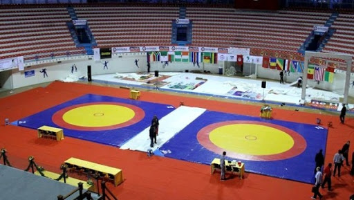 Lutte/JO-2016 :1ère réunion du comité d&rsquo;organisation restreint du Tournoi qualificatif « Océanie-Afrique »