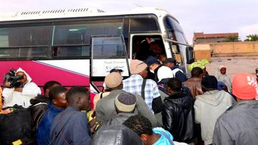 Ouargla : plus de 300 ressortissants nigériens rapatriés dans les tout prochains jours