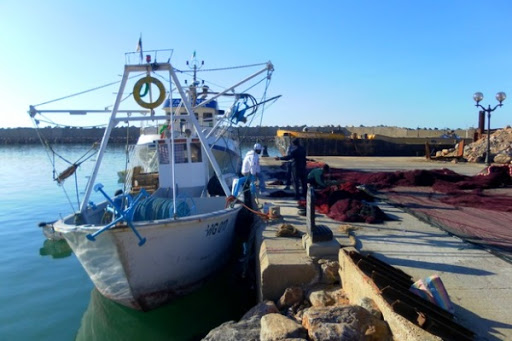 Pêche: la mise à niveau des cadres techniques arabes doit être permanente