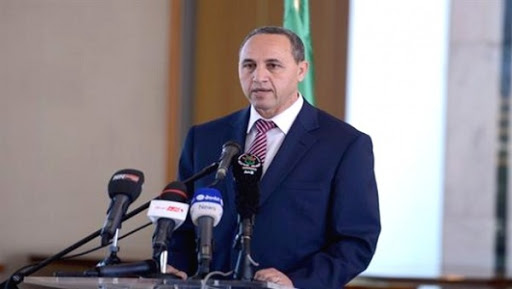 Plusieurs pays intéressés par l&rsquo;investissement dans le secteur de la culture en Algérie