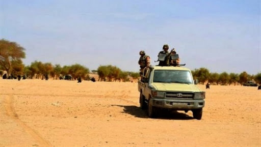 Quatorze immigrants clandestins et deux contrebandiers arrêtés à In Guezzam et Bordj Badji Mokhtar (MDN)