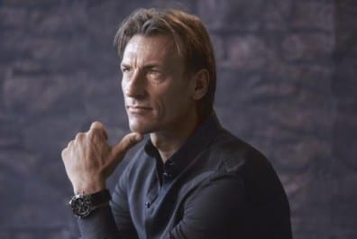 Renard  en route chez les Verts ?