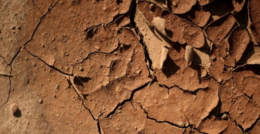 Renforcement de la coopération Sud-Sud en matière d’échanges d’expériences dans la préservation de sols