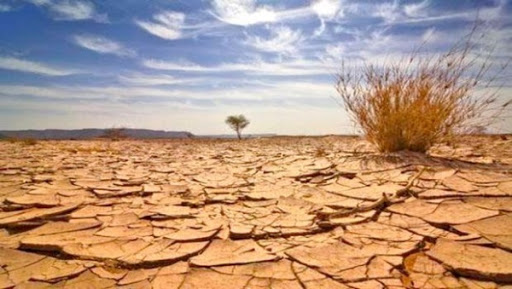 Sévère sécheresse dans le nord du pays : La terre a soif