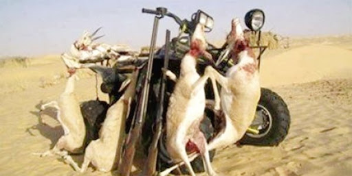 Un Saoudien, un Emirati et deux Algériens arrêtés dans le Sud