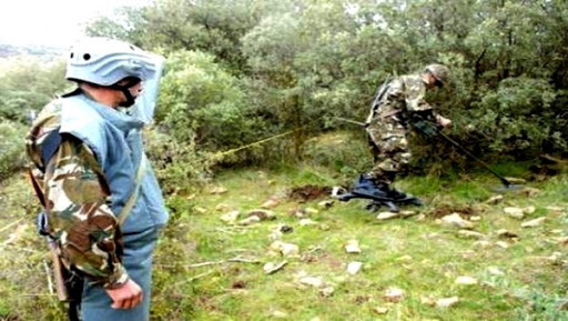 Un total de 5.630 mines datant de l&rsquo;ère coloniale détruites en octobre 2015