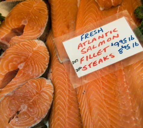 USA: le saumon génétiquement modifié autorisé à la consommation humaine