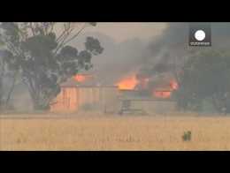 Violents incendies dans le sud de l’Australie : déjà deux morts et des centaines d’animaux tués