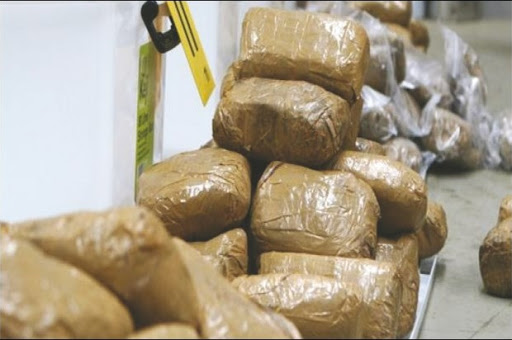 13 réseaux marocains de trafic de drogue démantelés dans l’ouest algérien