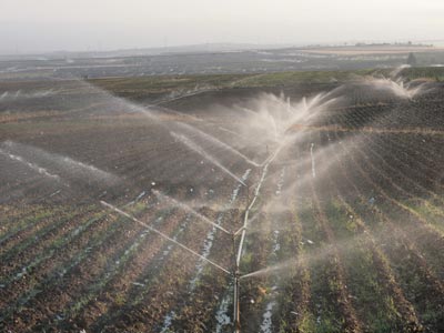 A quoi tient le défi agricole ?