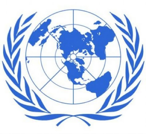 Accord à l’unanimité à l’onu pour des négociations sur la syrie,  Une feuille de route sur fond de désaccords