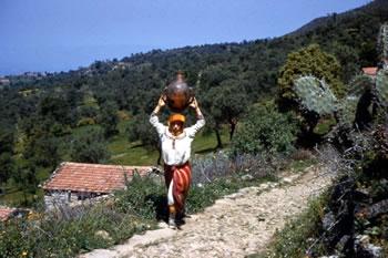 Alors que se tient une conférence mondiale sur le climat, Tizi Ouzou massacre ses sources