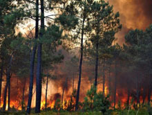 Amérique, Australie et Europe : le temps des incendies et inondations