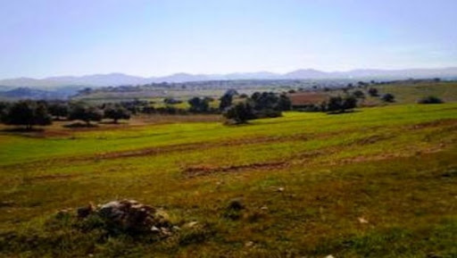 Au chevet de l’agriculture : c’est le bon diagnostic qui a le plus manqué !