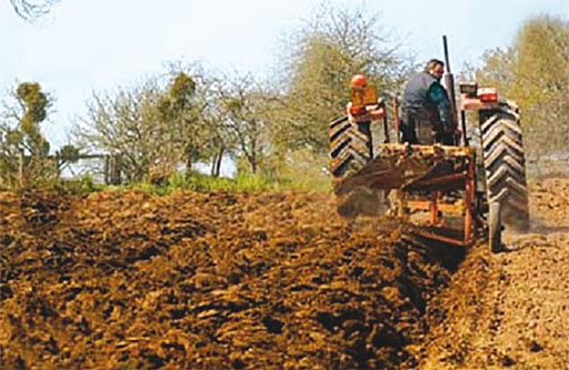 Campagne labours-semailles à tiaret L’appréhension des céréaliers
