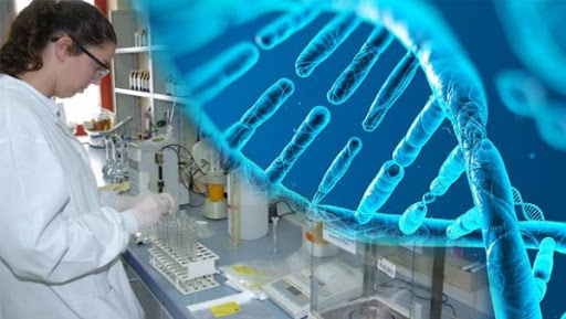 Conseil des ministres: adoption de l&rsquo;avant-projet de loi relatif à l&rsquo;utilisation de l’empreinte génétique