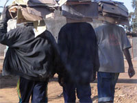 Début des travaux d’un atelier technique sur le profil migratoire en Algérie