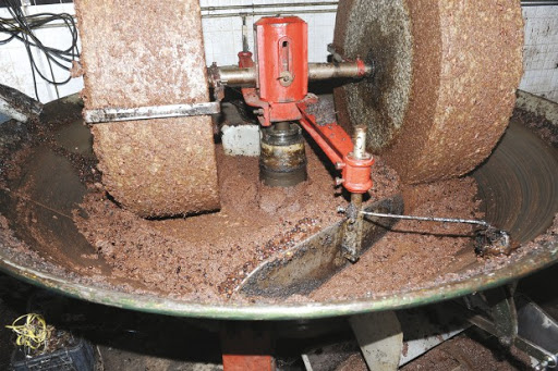 Développement local à Mila, L’oléiculture sur une courbe ascendante