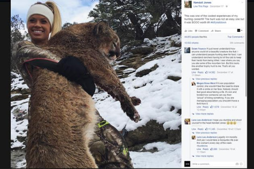 Etats-Unis : la pom-pom girl tueuse d&rsquo;animaux s&rsquo;en prend à un puma