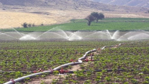Irrigation: Nouri appelle les agriculteurs à utiliser des équipements économiseurs d&rsquo;eau