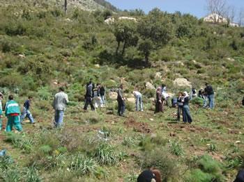 Journée mondiale de la montagne, Haïzer se met de la fête